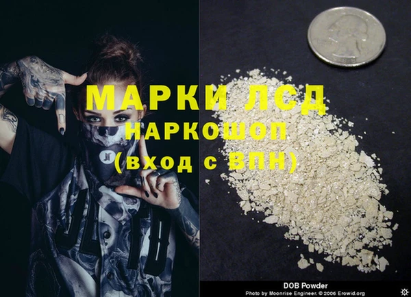apvp Алексин