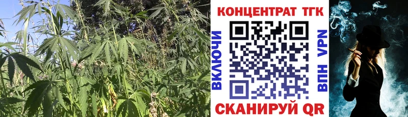 Дистиллят ТГК гашишное масло  Купить закладки  Высоковск 